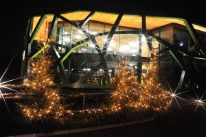 Shopping natalizio e lezioni di cucina per la tavola delle feste nelle &ldquo;Cantine Aperte per Natale&rdquo;