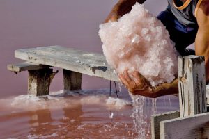 Le pi&ugrave; grandi saline d&rsquo;Italia e d&rsquo;Europa nelle mani della multinazionale francese Salins spa