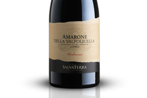 SalvaTerra, Docg Amarone della Valpolicella Classico 2011