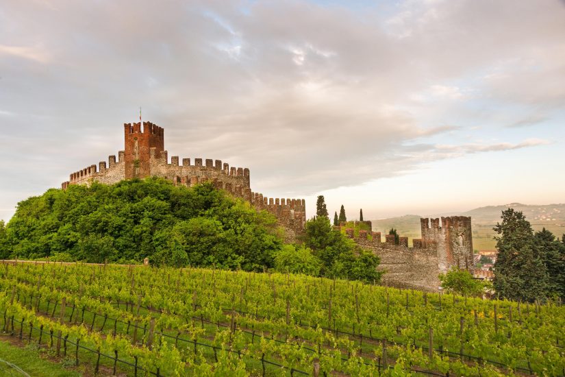 Forum sulla biodiversità della Fao, il Soave protagonista