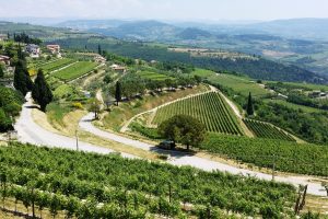 In Valpolicella il primo corso universitario in Italia di Politiche e Governance del territorio