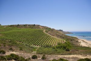 Sostenibilità, in sinergia tra vino e turismo, per lo sviluppo dei territori: il messaggio di Inycon Sostenibilità, in sinergia tra vino e turismo, per lo sviluppo dei territori: il messaggio di Inycon