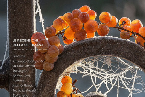 I Vini di WineNews - N. 27