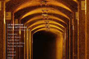 I Vini di WineNews - N. 28