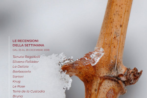 I Vini di WineNews - N. 29