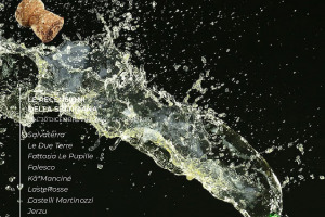 I Vini di WineNews - N. 30