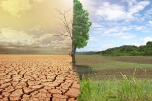 Cambiamenti climatici, un quinto del territorio nazionale è a rischio desertificazione Cambiamenti climatici, un quinto del territorio nazionale è a rischio desertificazione
