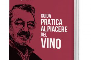 &ldquo;Guida Pratica al Piacere del Vino&rdquo;, il viaggio di Gaspare Buscemi nel mondo del vino artigianale