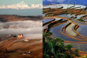 Distanti ma pi&ugrave; vicine di quanto si pensi, le Langhe stringono un gemellaggio con le risaie cinesi