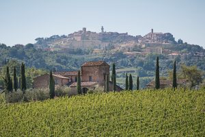 Il vino, un territorio e la sua storia, raccontate dagli occhi di una Millennial americana