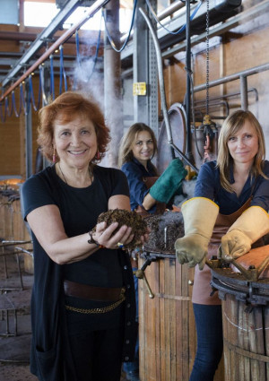 Cinquant&rsquo;anni del Premio Nonino, &ldquo;anticipatore del Nobel&rdquo;, all&rsquo;Istituto Italiano di Cultura a Parigi