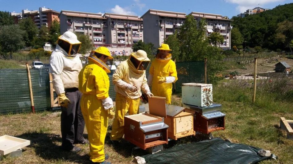 Il progetto “Api e Orti Urbani”
