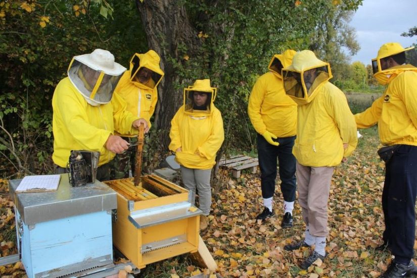 Il progetto “Api e Orti Urbani”