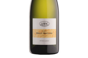 Rebollini, Docg Oltrepò Pavese Metodo Classico Brut Nature 2013