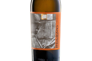 Tenuta Santi Giacomo e Filippo, Marche Igt Bianco Bellantonio elevato in anfora 2016