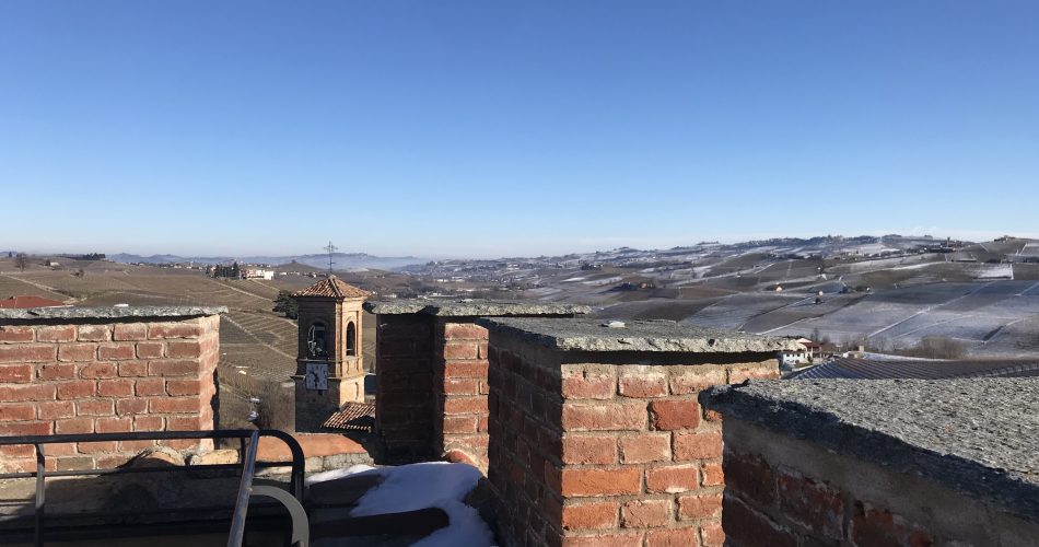 I vigneti di Barolo visti dal Castello di Barolo