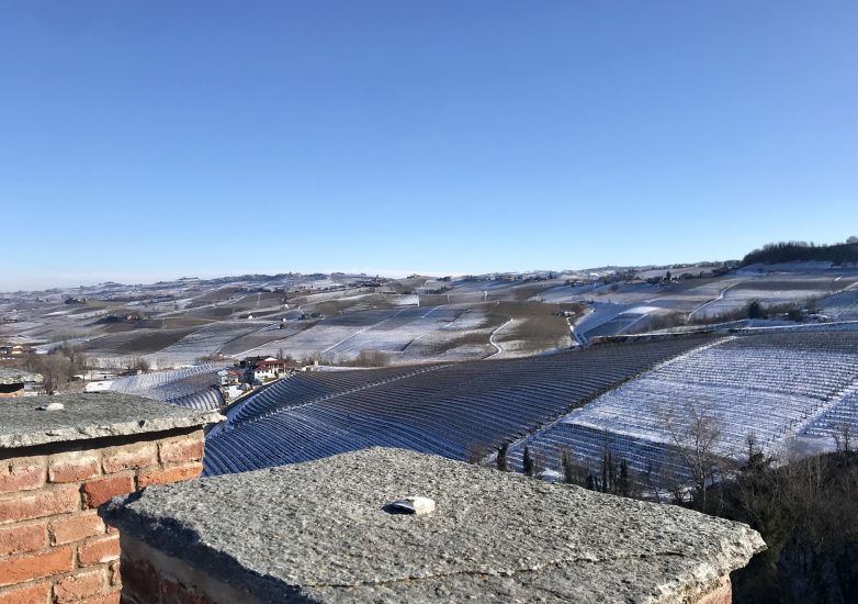 I vigneti delle Langhe coperti di neve visti dal Castello di Barolo