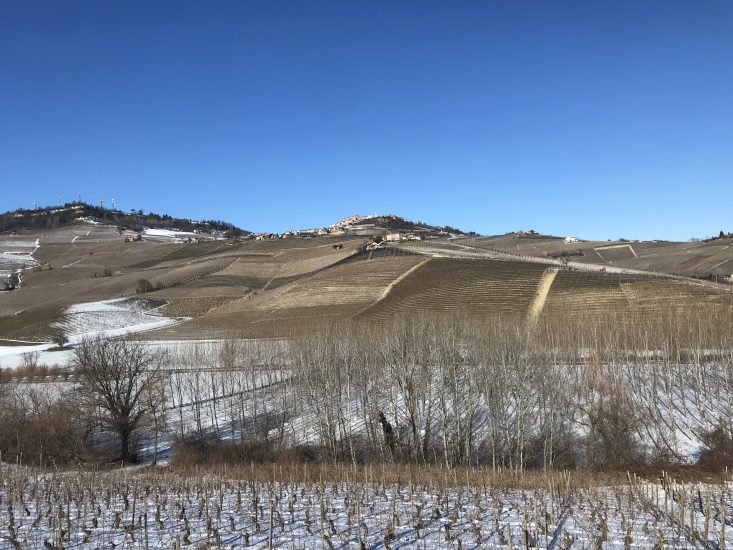 I vigneti delle Langhe