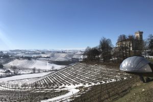 Piemonte Land, con la Doc Pinerolese si chiude il cerchio: una casa comune per tutti i Consorzi