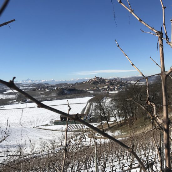 La neve sui vigneti delle Langhe
