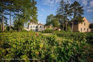 Vino, la creazione di valore sarà fondamentale per la ripresa. Gli esempi di Bordeaux e Borgogna Vino, la creazione di valore sarà fondamentale per la ripresa. Gli esempi di Bordeaux e Borgogna
