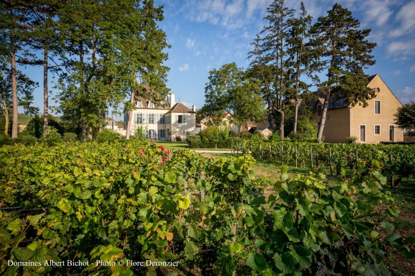 Domaine du Pavillon di Albert Bichot, realtà top di Borgogna con il Ceo Guillame Deglise