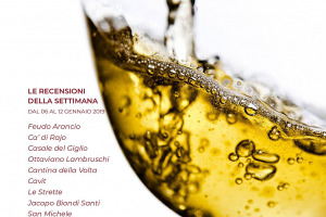 I Vini di WineNews - N. 31