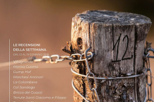 I Vini di WineNews - N. 32