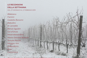 I Vini di WineNews - N. 34