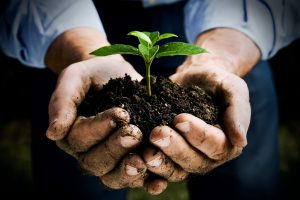 In Europa le vendite di prodotti bio hanno toccato i 37 miliardi di euro: Italia al n. 2 In Europa le vendite di prodotti bio hanno toccato i 37 miliardi di euro: Italia al n. 2