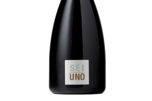 Bellenda, Docg Conegliano Valdobbiadene Prosecco Superiore Rive di Carpesica Sei Uno 2016