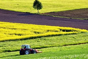 Cia, il peso dell’Europa sull’agricoltura: crescono lavoratori, bio, export e qualità