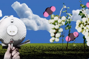 Global warming: in Germania si studiano gli effetti della CO2 sul vino del futuro Global warming: in Germania si studiano gli effetti della CO2 sul vino del futuro