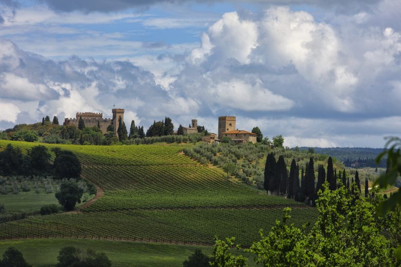 I vigneti del Chianti, la denominazione più grande della Toscana