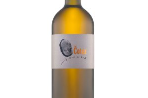 Čotar, Kras Vitovska Grganja 2013