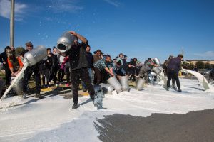 Latte, è ancora caos, nonostante il tavolo di filiera a Roma. Pastori e Assolatte allo scontro Latte, è ancora caos, nonostante il tavolo di filiera a Roma. Pastori e Assolatte allo scontro