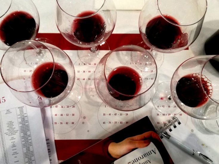 Nella stagione delle Anteprime del vino italiano è tempo di Anteprima Amarone 2016