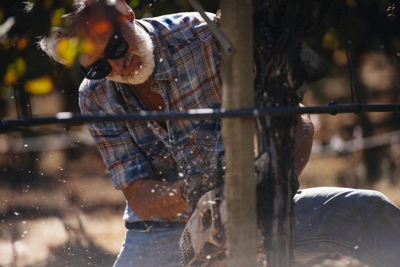 A scuola di “Dendrochirurgia” contro il mal dell’esca