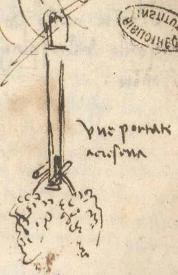 I disegni di Leonardo (da “Leonardo e il vino” di Luca Maroni)