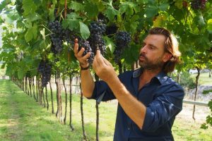 Dalla terra alla finanza e ritorno: la “parabola” di Massimo Gianolli de La Collina dei Ciliegi Dalla terra alla finanza e ritorno: la “parabola” di Massimo Gianolli de La Collina dei Ciliegi
