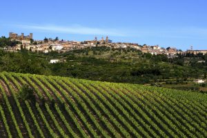 Dall’Ottocento ad oggi: un viaggio nella storia e nei luoghi del Brunello di Montalcino Dall’Ottocento ad oggi: un viaggio nella storia e nei luoghi del Brunello di Montalcino
