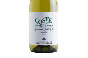 Monte Schiavo, Doc Verdicchio dei Castelli di Jesi Classico Coste del Molino 2017