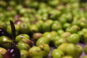 Olio Extra Vergine d'Oliva Monocultivar Tonda Iblea