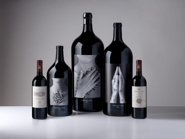 All’asta on line i grandi formati di Vendemmia di Artista di Ornellaia 2016 “La Tensione“