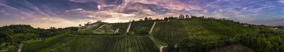 Il vigneto Montemareto nel Nizza acquisito da Michele Chiarlo