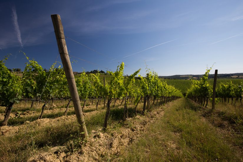 I vigneti del Chianti Geografico
