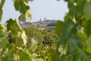 “Uve antiche, vini moderni e tesori culturali”: la copertina Wine Spectator dedicata all’Italia