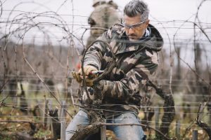 L’agricoltura italiana resiste, gli Asia’s 50 Best online, le aste enoiche di HK slittano a luglio