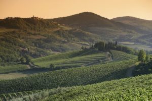 &Egrave; l&rsquo;ora delle Anteprime di Toscana: domani BuyWine, a Firenze, poi sfilata dei territori