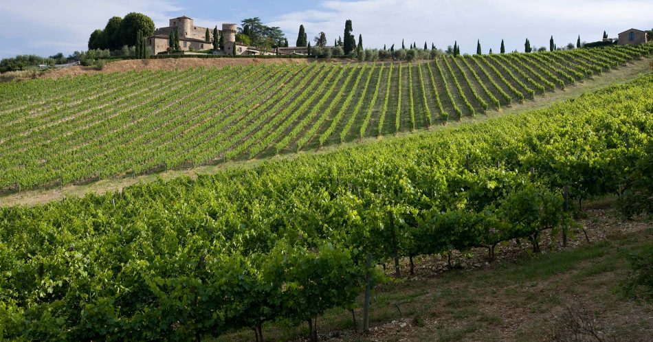 I vigneti della Toscana